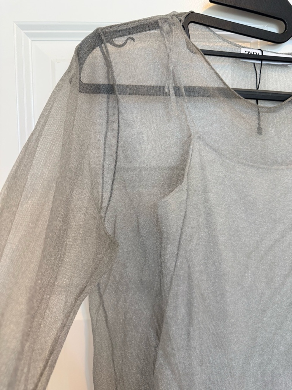 Zara Sheer Long Sleeve Maxi Dress in Taupe Gray - Picture 2 of 5